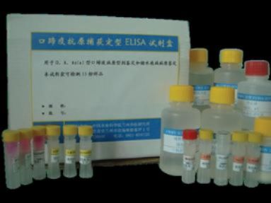 人乳酸脱氢酶(LDH) ELISA试剂盒
