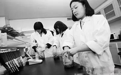 北京24中学中韩教育文化交流活动 北京24中学中韩教育文化交流活动