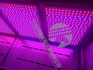 寧波科晟LED紅藍光植物生長箱RHL-110-1