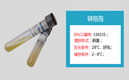 【菌株新品】十月好时光,新品与您相会