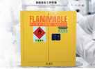 安全柜火防爆柜