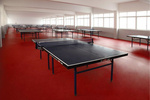 红双喜乒乓球运动地胶DT408 乒乓球地胶垫 防滑耐用pvc运动塑胶地板
