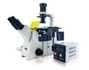 明美倒置荧光显微镜MF53-N
