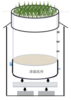 SoilTron多功能小型蒸渗仪