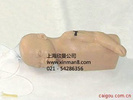 硅胶婴儿头部及手臂静脉注射穿刺训练模型
