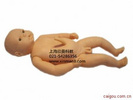 出生婴儿附脐带模型