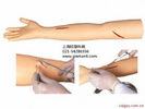 外科缝合手臂模型
