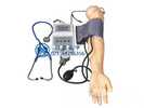 血压测量手臂训练模型，血压手臂模型