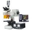 荧光显微镜/双目荧光显微镜/正置双目荧光显微镜