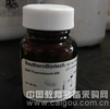 DAPI-Fluoromount-G荧光封片剂 0100-20