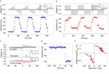 Advanced Science:多功能高分辨率磁光克爾顯微成像系統助力自旋憶阻器研究取得突破性進展