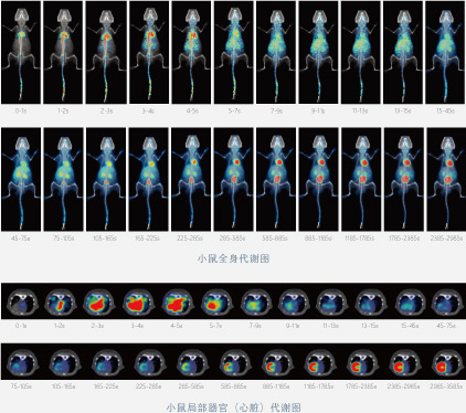 实验室仪器数字化超高分辨小动物PET/CT