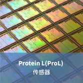 LifeDisc Protein L(ProL) 生物傳感器