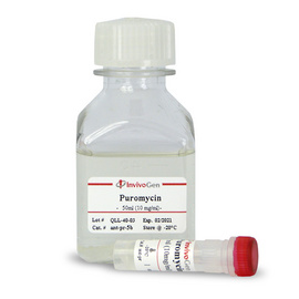 Invivogen Puromycin ant-pr-1