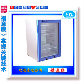 福意联2-48℃锂电池测试箱