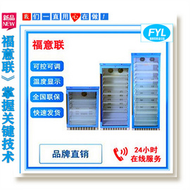 扣電電池測試恒溫箱 鋰電池恒溫試驗箱