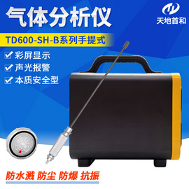 手提式烟气二氧化氮分析仪TD600-SH-B-NO2