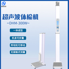 鼎恒DHM-300w超声波体检机 体质测试 厂家直供 使用方便