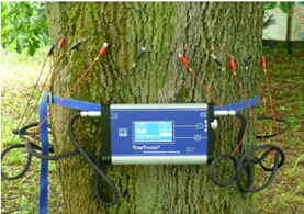 德国Angus Electronic品牌  PiCUS TreeTronic树木电阻抗断层画像诊断装置 