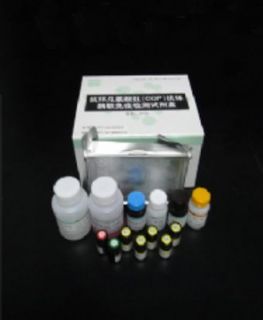 猪γ干扰素(IFN-γ)ELISA试剂盒