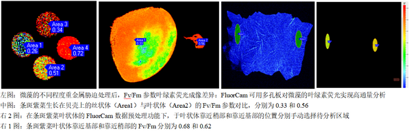 易科泰开放式FluorCam叶绿素荧光成像系统在四川成都安装运行