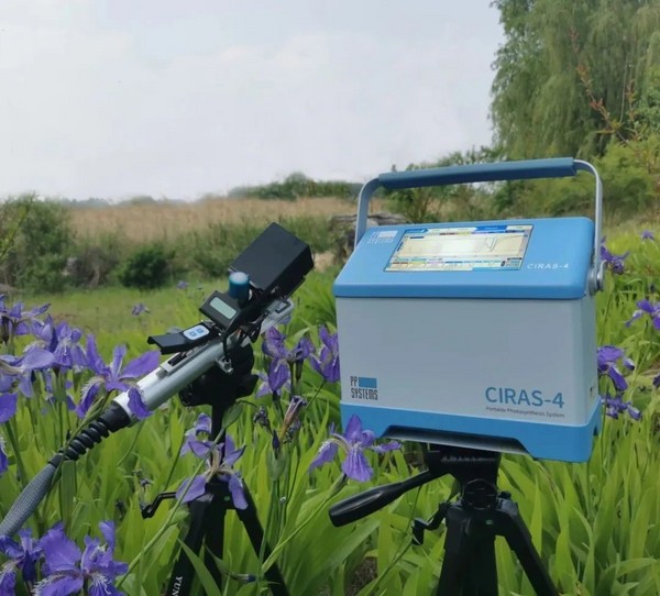 [CIRAS-4]水稻OsβCA1通过不同转录起始产生三种不同亚细胞定位的OsβCA1亚型，参与气孔响应调控和光合作用