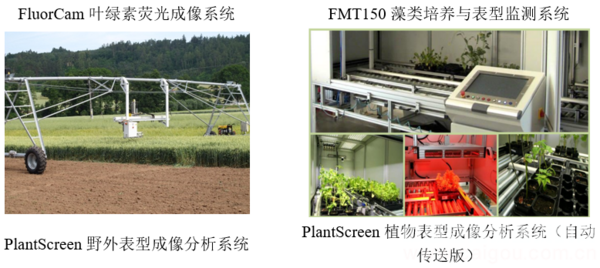 叶绿素荧光成像与植物表型分析技术系列研讨