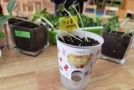 萬科幼兒園開放招生啦!創新課程活動,激發幼兒潛能從這里開始