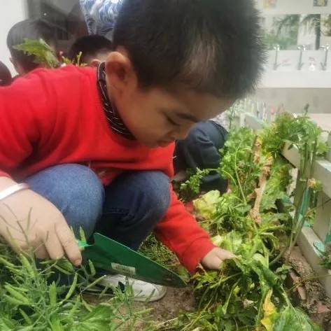 萬科幼兒園開放招生啦!創新課程活動,激發幼兒潛能從這里開始