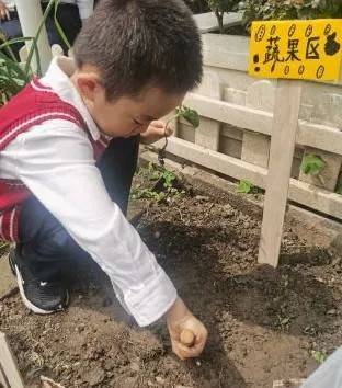萬科幼兒園開放招生啦!創新課程活動,激發幼兒潛能從這里開始