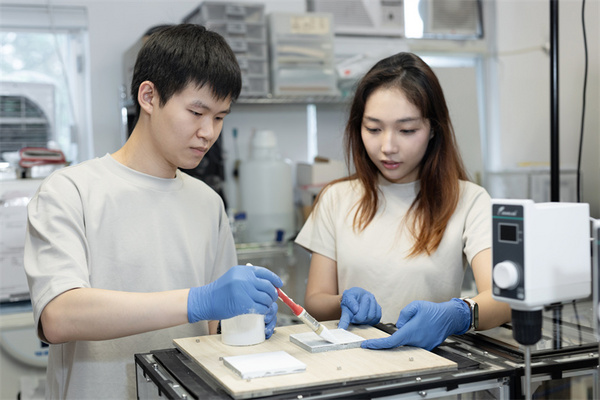 塑造明日創新者——2024年戴森設計大獎正式開啟全球征集