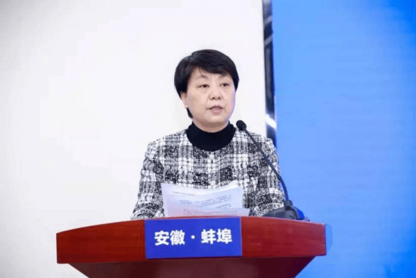 蚌埠市全國智慧教育示范區建設推進會成功舉辦