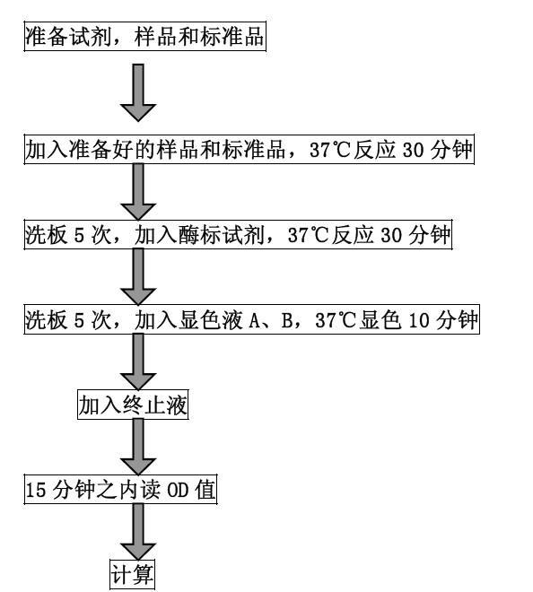 猪补体成分3(C3)ELISA试剂盒