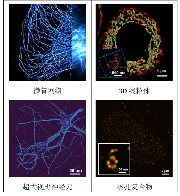 3D单分子超分辨成像系统落户国内多所知名院校，15nm超高分辨，大视野单分子成像必备！