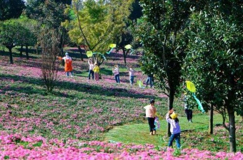 奧雅股份助力彌勒市兒童友好城市建設并出席啟動儀式 ｜ 世界兒童日