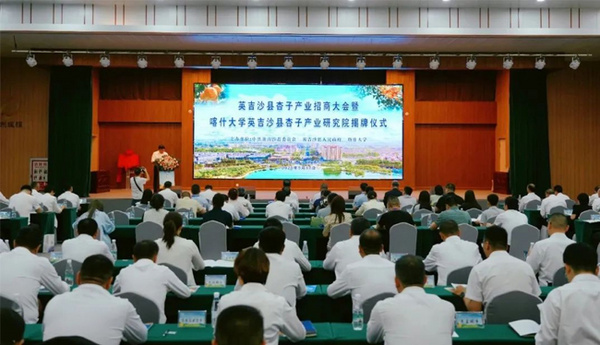 喀什大学与英吉沙县共建杏子产业研究院 科技赋能乡村振兴