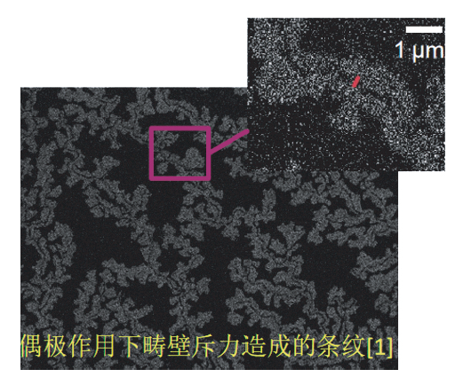 Quantum Design中國合作引進 多功能高分辨率磁光克爾顯微成像系統