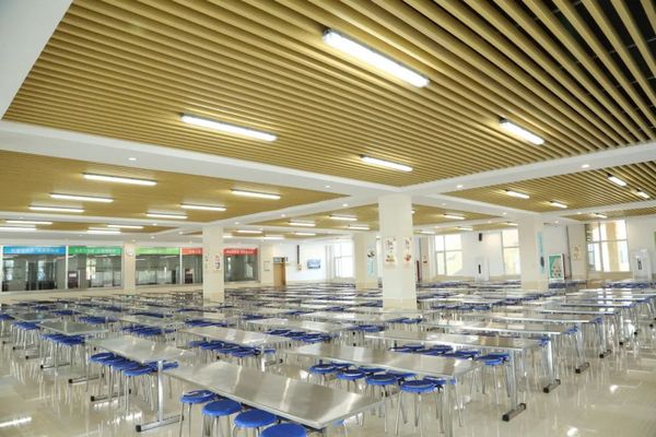 覆蓋率99%！青島城陽中小學食堂承載起“大民生”