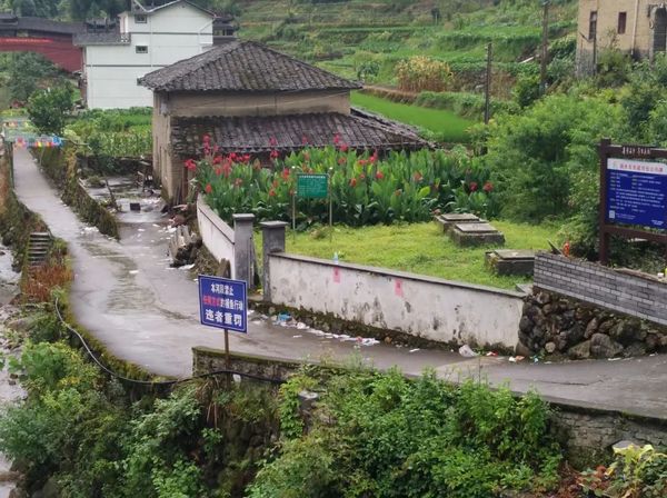 慶元微改造·精提升｜慶元賢良村：和美好相遇一場