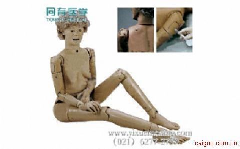 高级全功能老年护理人(女性)