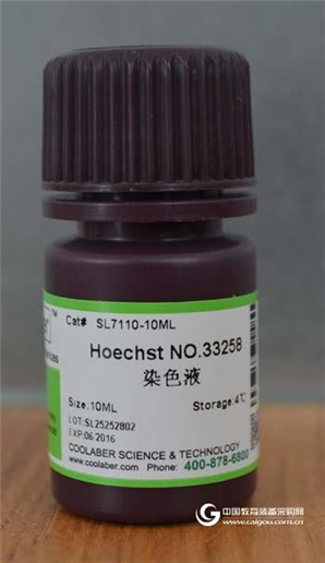 Hoechst33258染色液(50×)使用说明书