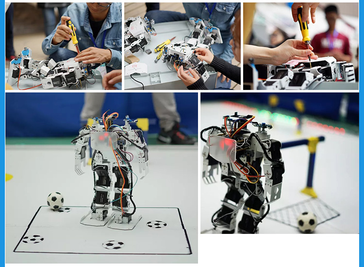 DICE-17自由度机器人二次开发套件介绍