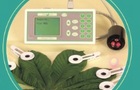 PEA应用-材料与方法中如何撰写PEA植物部分