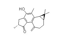 麻楓樹酚酮B，Jatropholone B