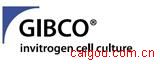 2-(4-(Iodoacetamido)anilino)Naphthalene-6-Sulfonic Acid Sodium Salt (IAANS) 原装