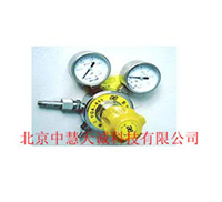 氨气减压器 型号：BF/YQA-401