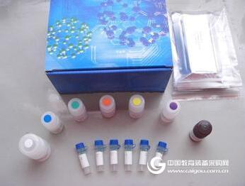吖啶橙(AO)荧光染色试剂盒(一步法)使用报告