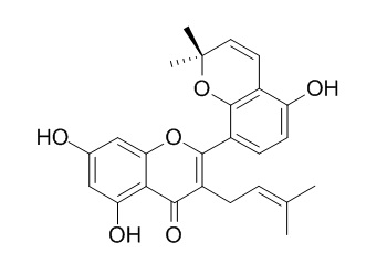 桑皮酮A 62949-77-3