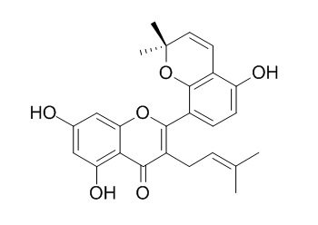 桑皮酮A  62949-77-3