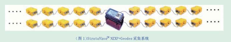 NZXP专业型高精度地震仪
